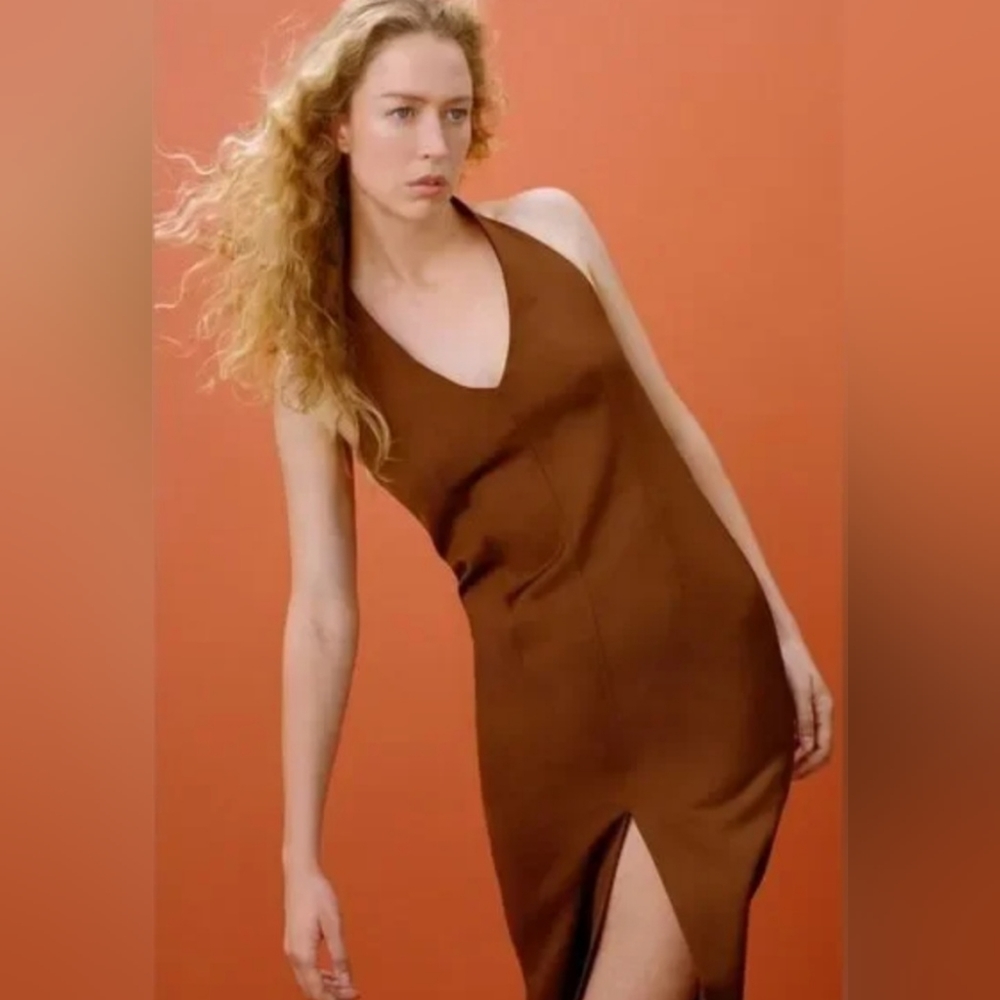 Zara Brown Halter Dress